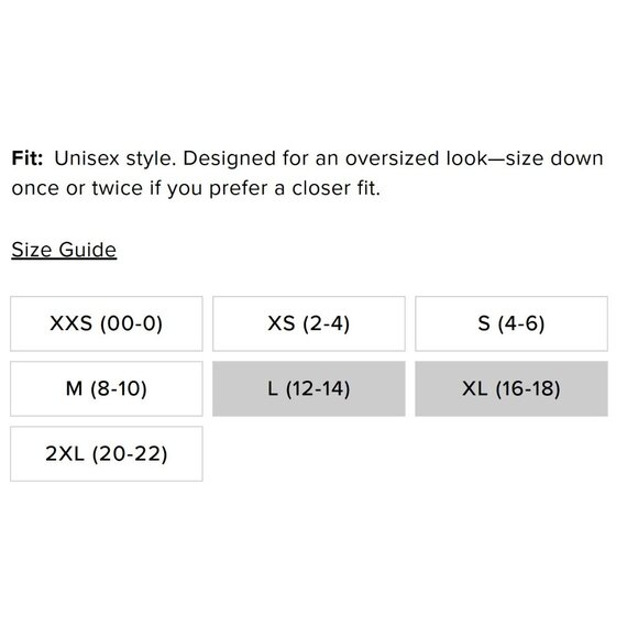 NWT Alo Yoga Unisex U5013RG Accolade Sweatpant in Anthracite Jogger  XS - Picture 7 of 7